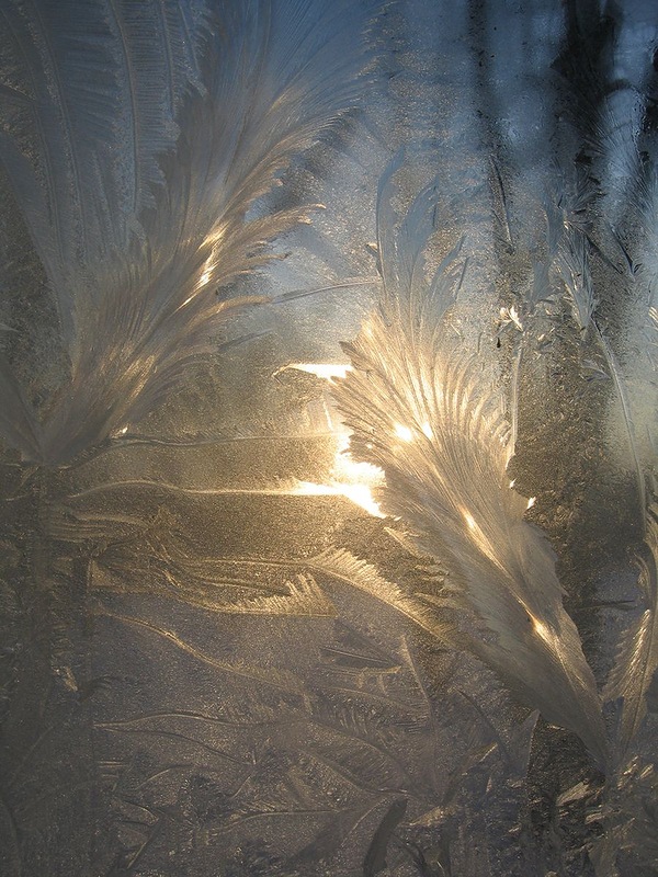 Морозные узоры