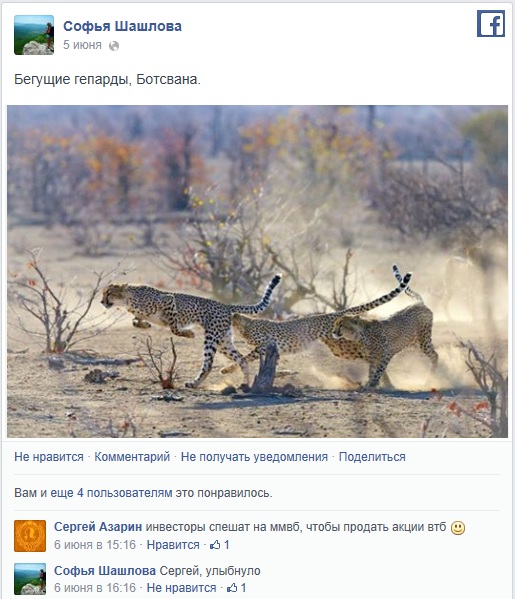 http://www.facebook.com/SarAzarin