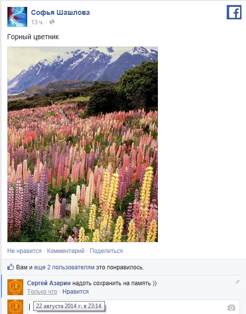 http://www.facebook.com/SarAzarin