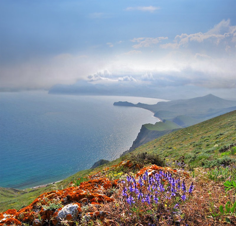 Пейзажи Измерения Деменциа