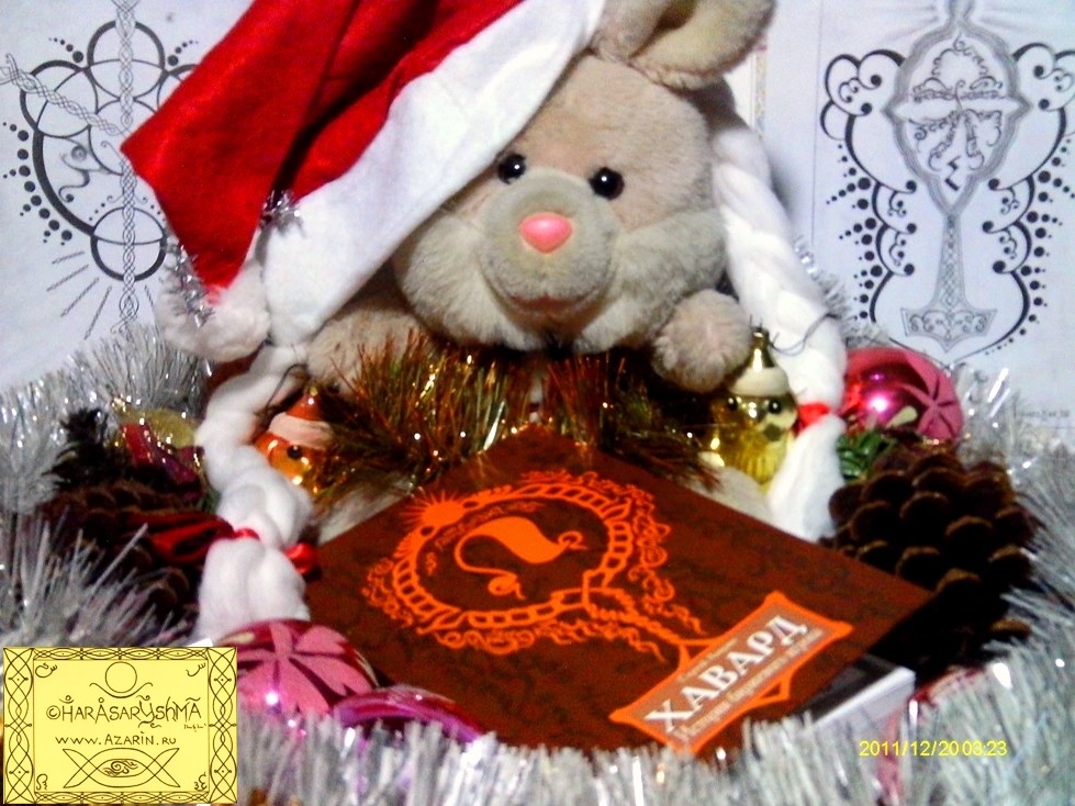 20 dec 2011 AZARIN FOTO HAVARDAR