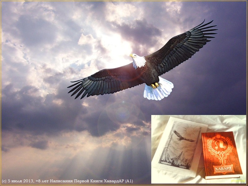 5 jul 2013 Azarin Foto HavardAR